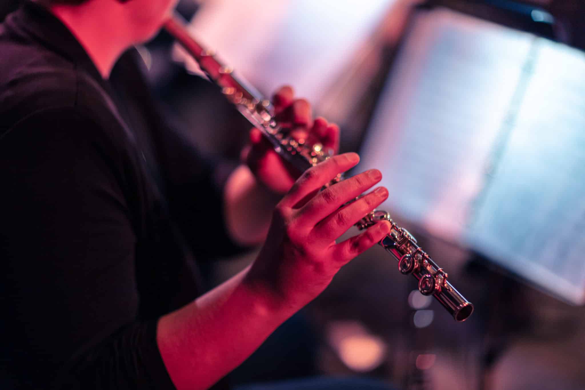 Konzert des Musikverein Neukieritzsch Regis e.V. im Kulturkino Zwenkau, fotografiert von Jörg Singer