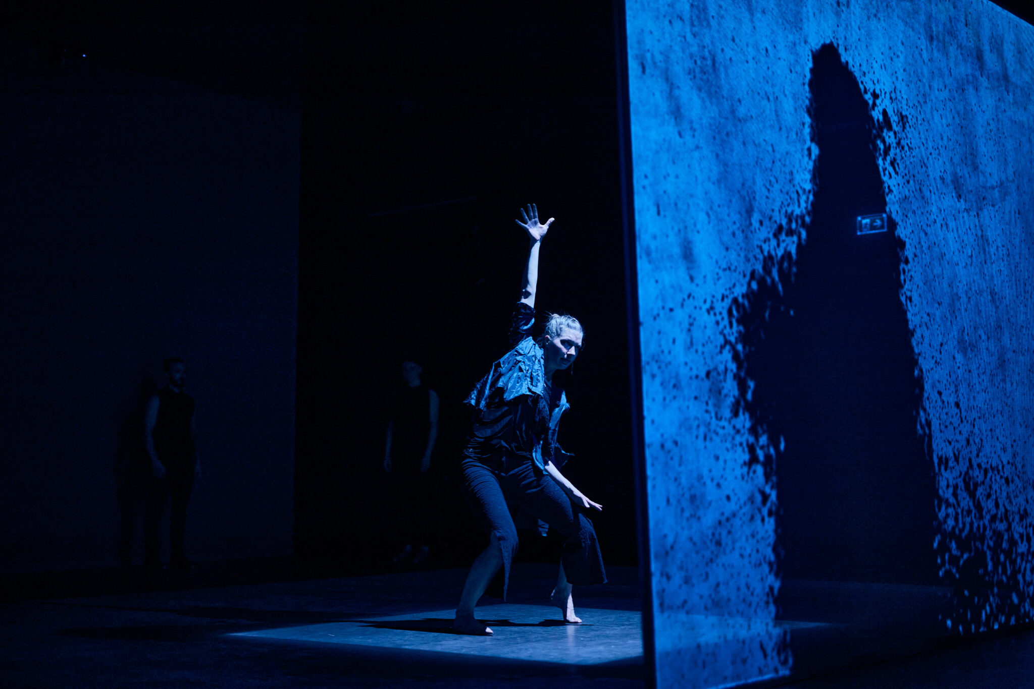 Sebastian Weber Dance Company - BATS Tanzfotografie von Joerg Singer Fotograf Leipzig